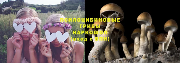 a pvp Алзамай