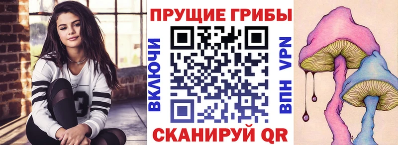 Галлюциногенные грибы Magic Shrooms  где можно купить   Кольчугино 